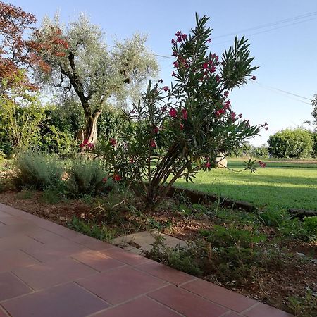 Villa Caterina Country Apartment Bedizzole Luaran gambar